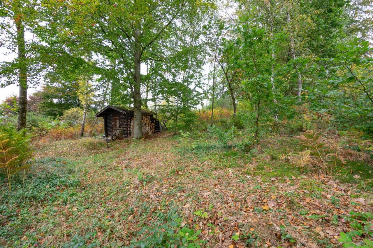Au Ptit Bois Charmant La-Roche-en-Ardenne Ngoại thất bức ảnh